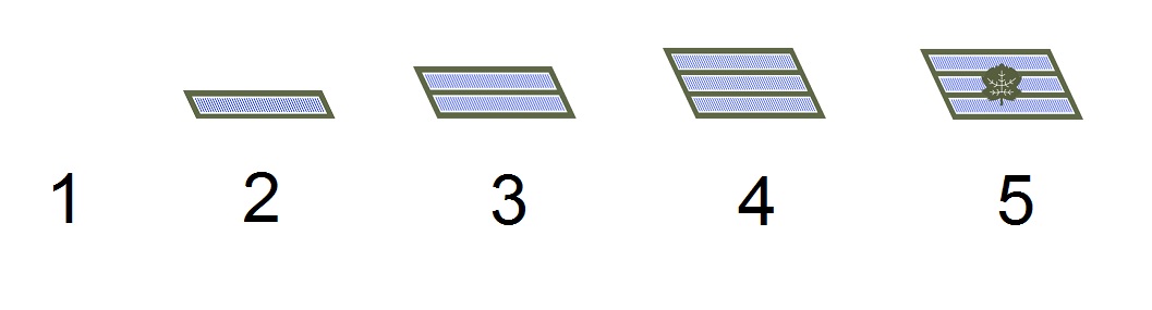 Israeli Army Rank Insignia